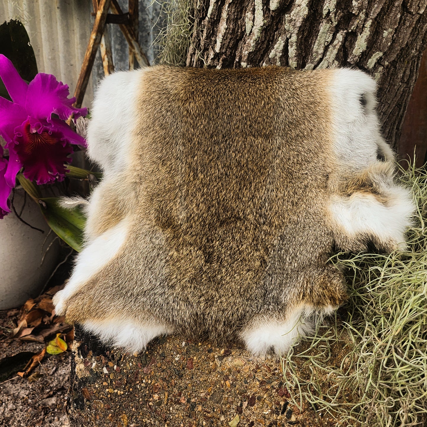 Rabbit Pelts