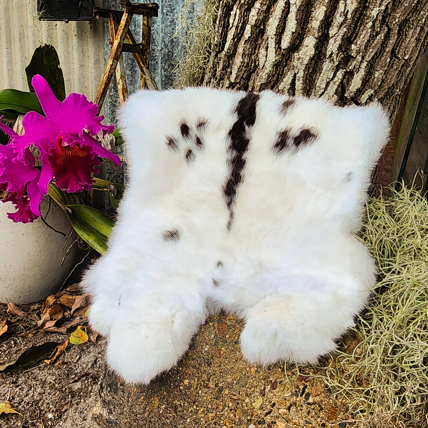 Rabbit Pelts