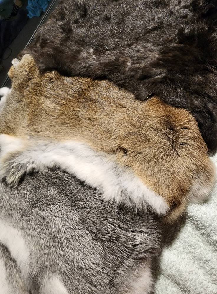 Rabbit Pelts