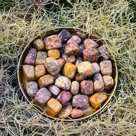 Leopard Skin Jasper Tumble