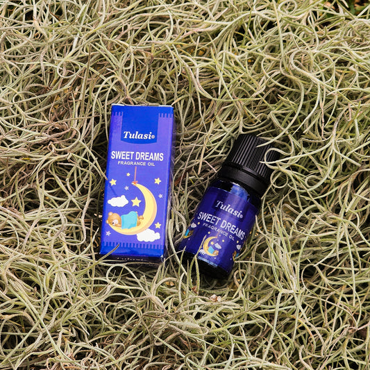 Tulasi Sweet Dreams Oil