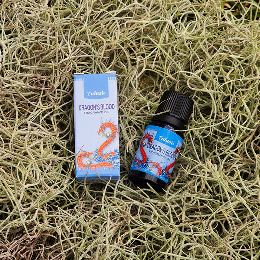 Tulasi Dragon's Blood Oil