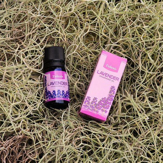 Tulasi Lavender Oil