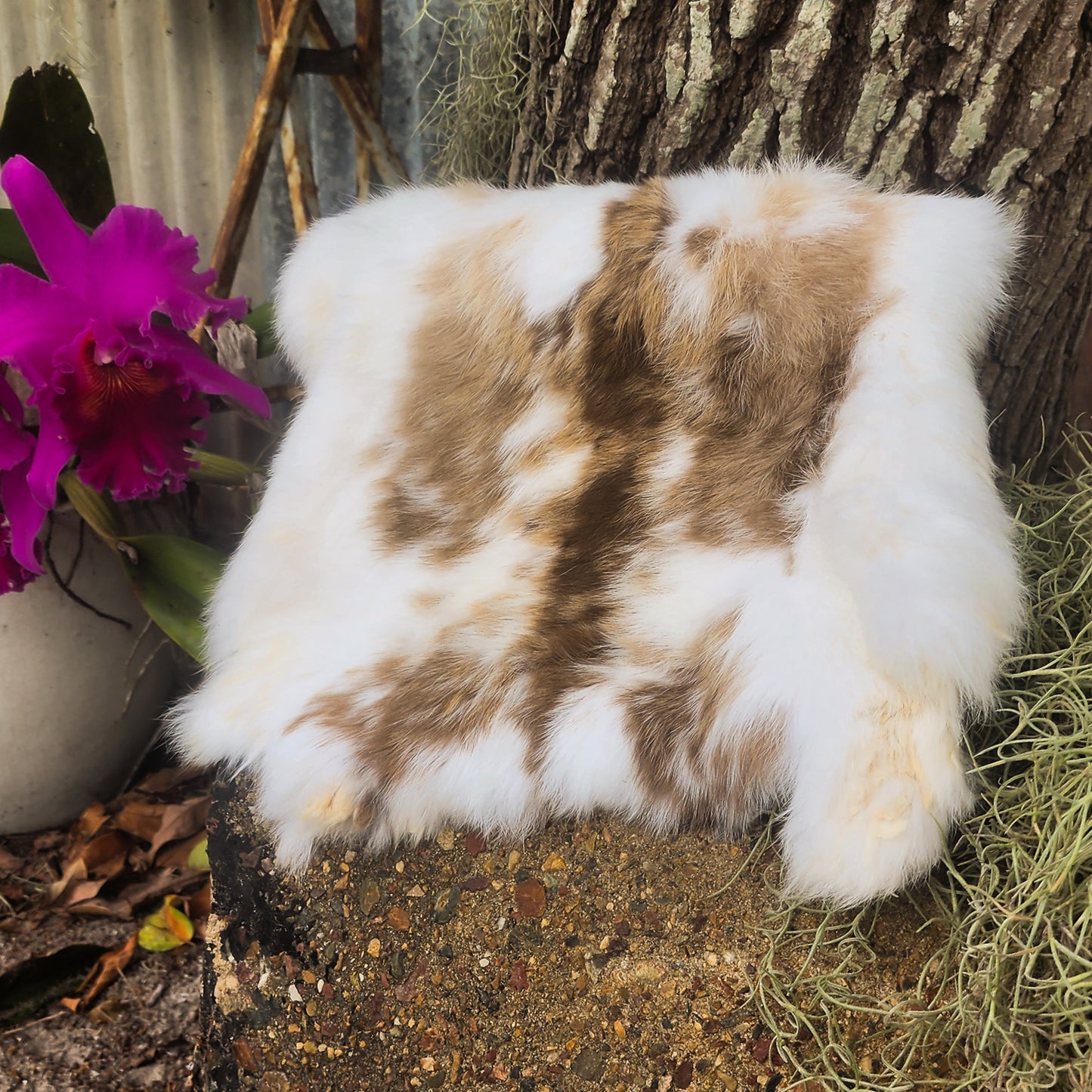 Rabbit Pelts