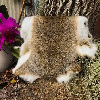 Rabbit Pelts
