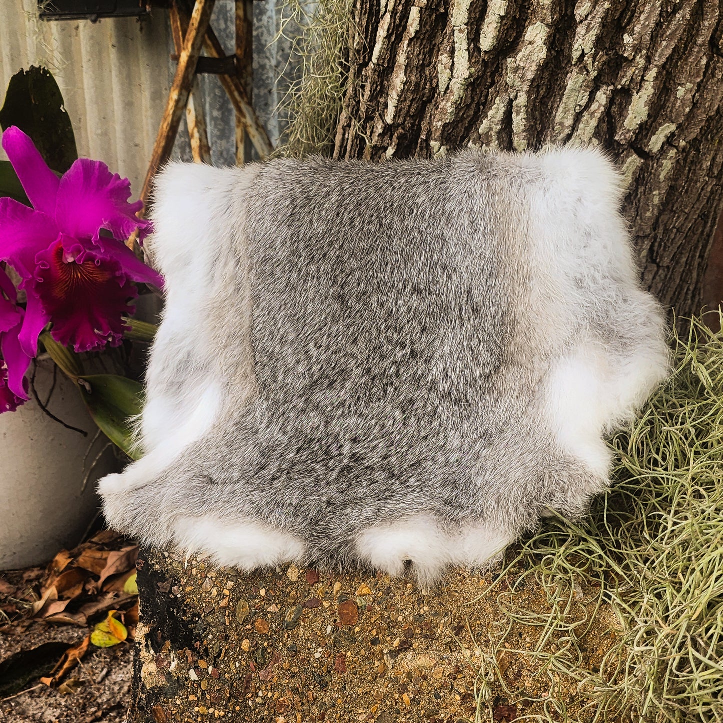 Rabbit Pelts