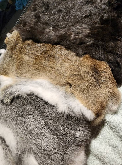 Rabbit Pelts